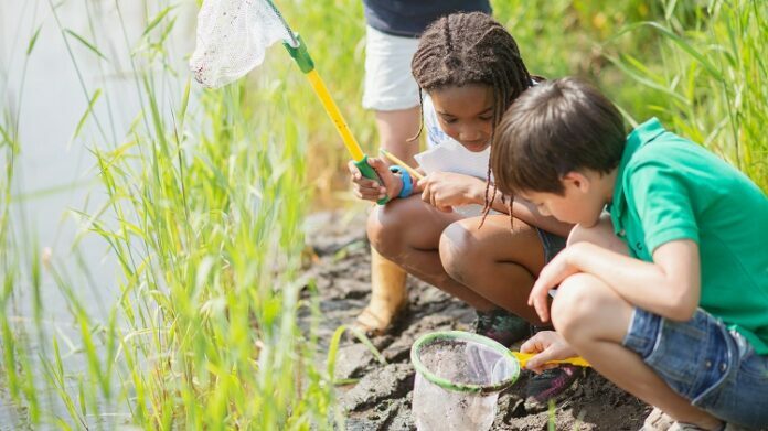 A Brief Guide to Summer Activity Camps for Children